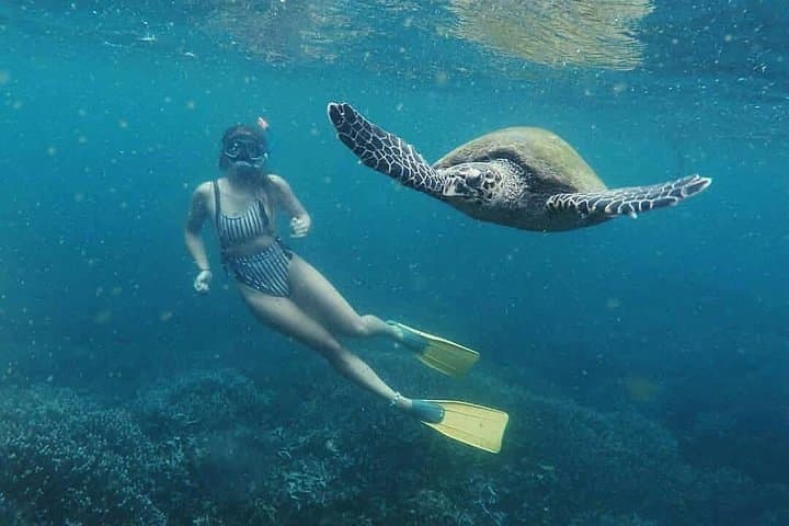 Snorkeling